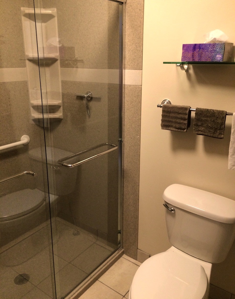 bathroom remodel with door shuemaker